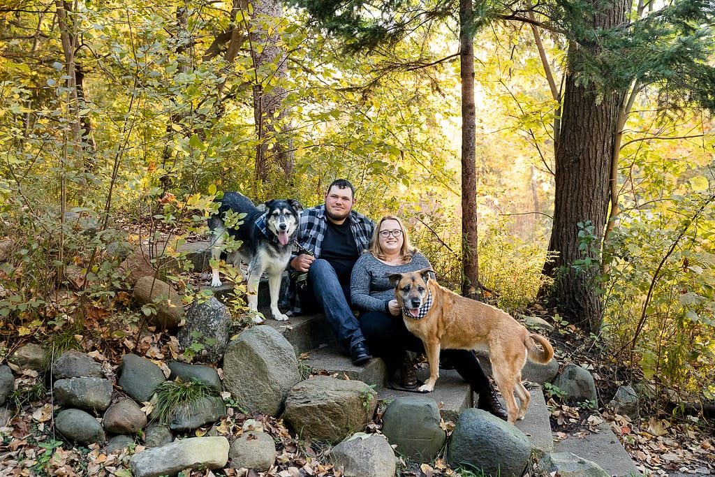 Fall engagement session with dogs London Ontario