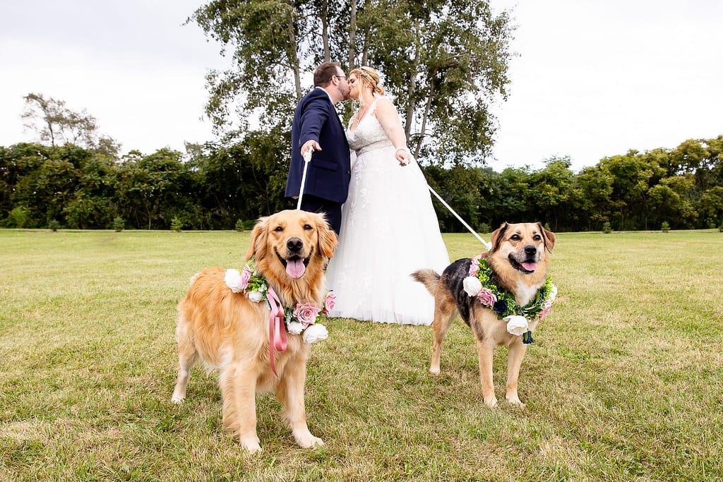 wedding photography with dogs ontario