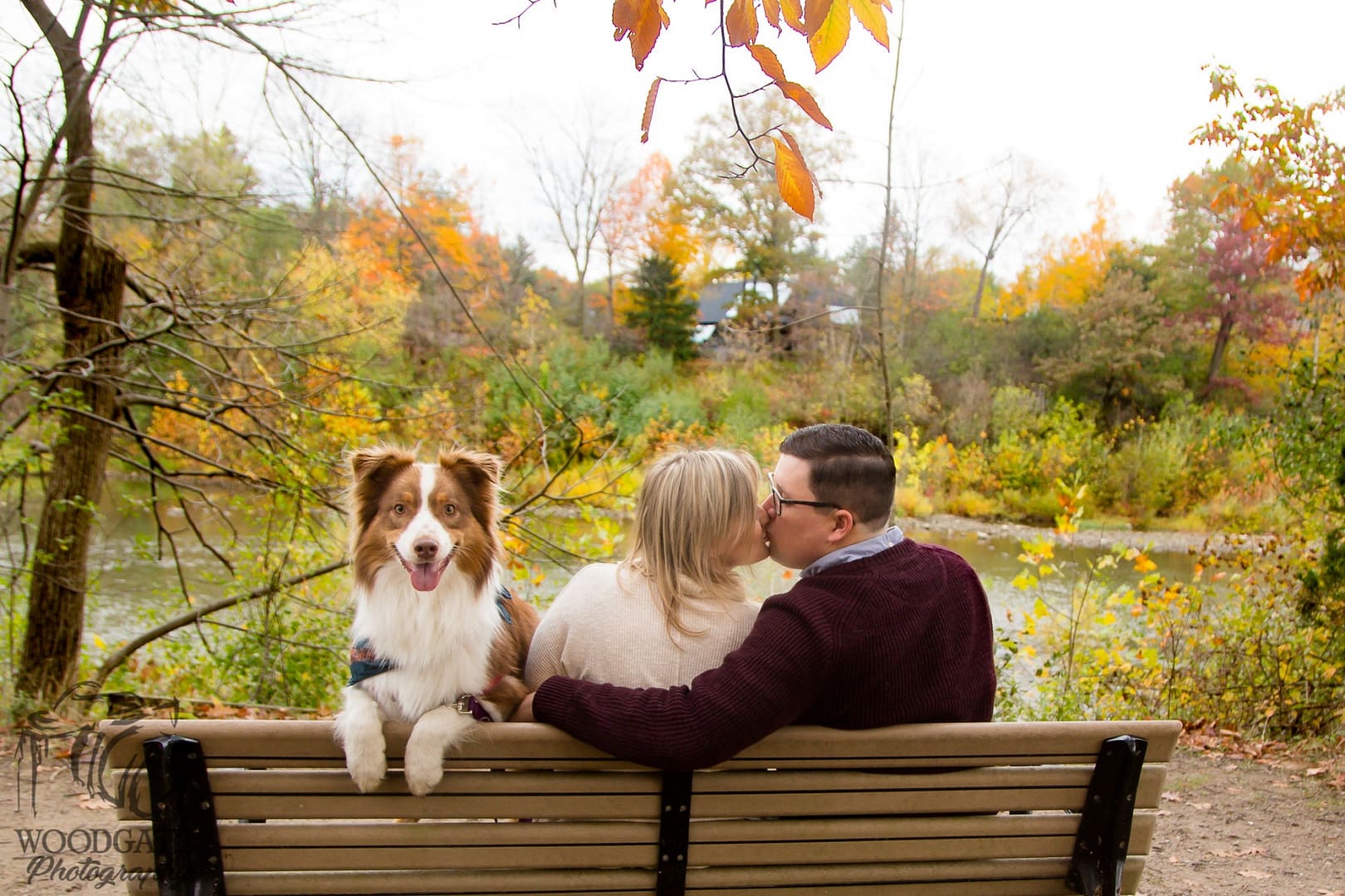 engagement-photos-with-dog-ontario-29