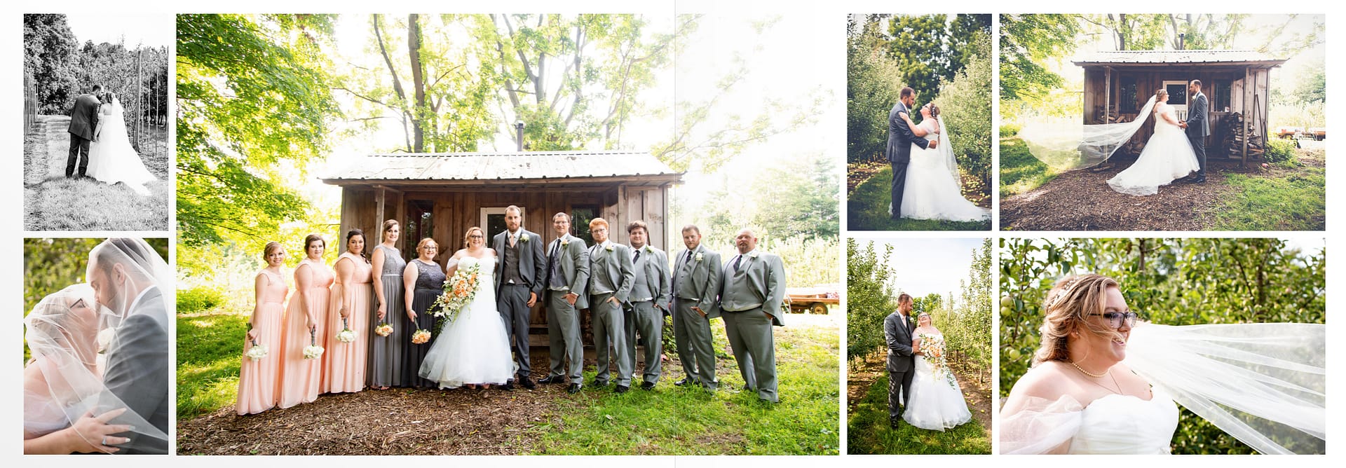 Farm Wedding Photography Alymer Ontario