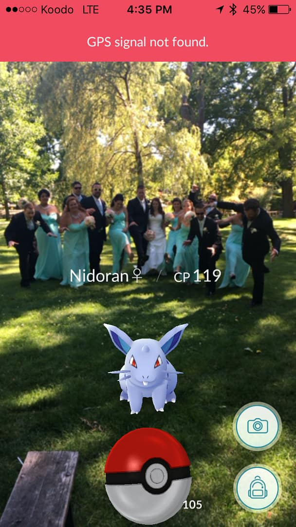 Pokemon Go: The Wedding