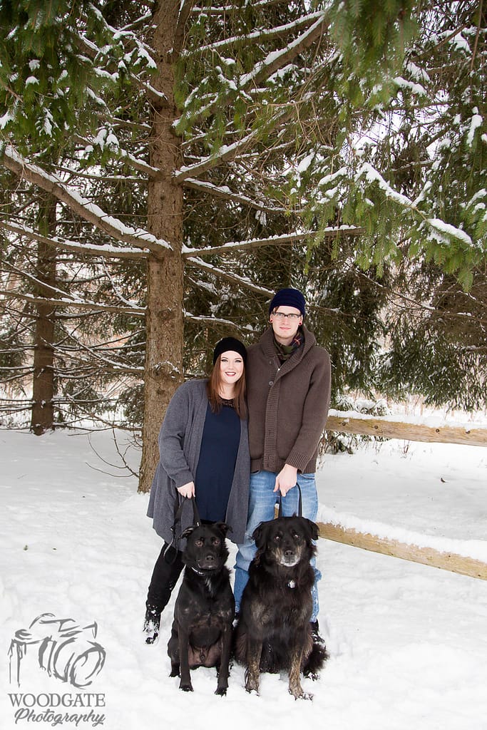 Winter Engagement Photography with Dogs London Ontario