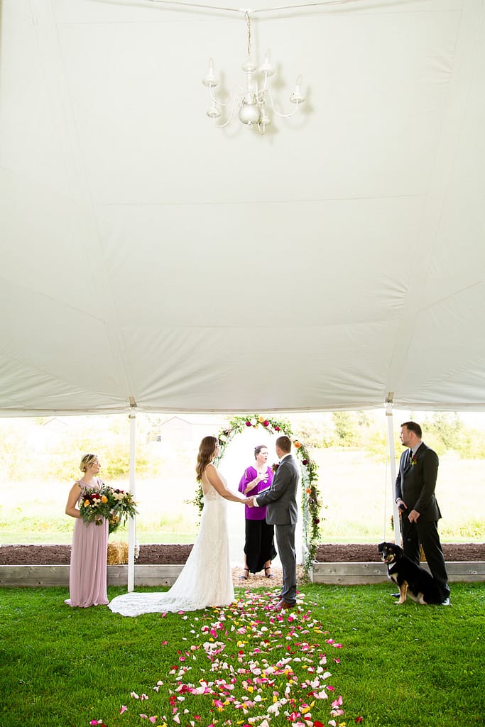 Backyard Wedding Photography Lucan Ontario