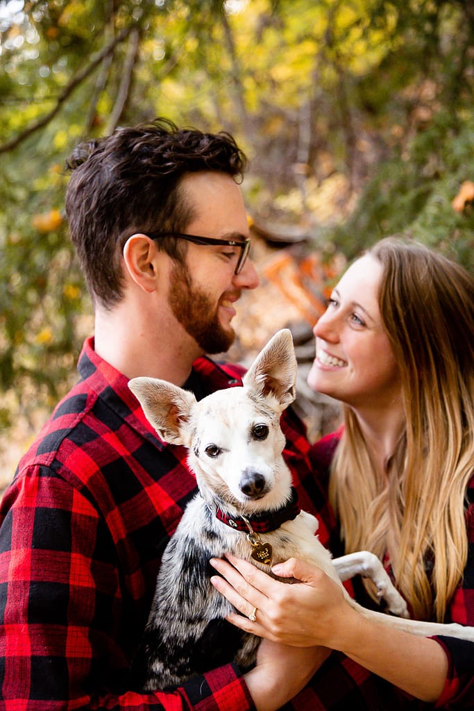 Engagement session with dog London Ontario